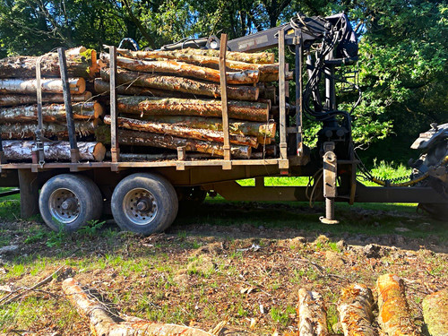 Timber flatbed trailer - m,